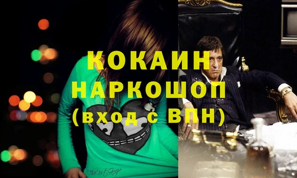 хмурый Алексин