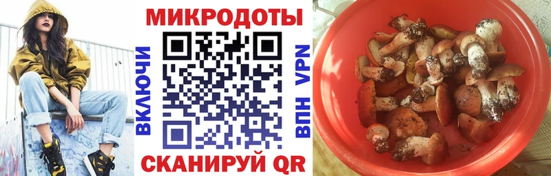 даркнет сайт  mega рабочий сайт  Галлюциногенные грибы прущие грибы  Крымск 
